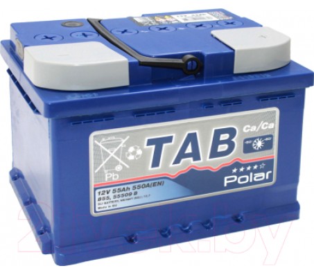 TAB Polar 55 Ah R+  